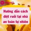hướng dẫn cách diệt ruồi tại nhà an toàn tự nhiên