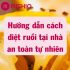 Các loại gia vị hot hòn họt nhất hiên nay
